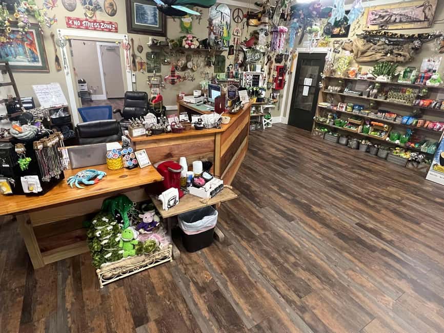 New Orleans Manchac Bayou Swamp Cruise W/ Optional Pick-Up - How Long It Feels, and How to Plan Your Timing