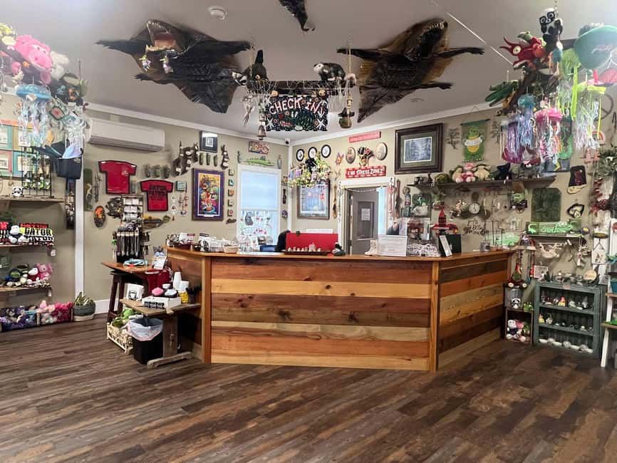 New Orleans Manchac Bayou Swamp Cruise W/ Optional Pick-Up - The Animal Moments: Alligators, Baby Gators, and Feeding