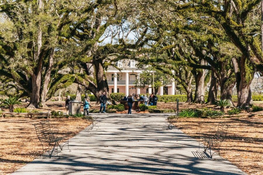 New Orleans: Oak Alley Plantation & Airboat Swamp Combo Tour - Hotel-to-bayou logistics: door-to-door in about 8.5 hours