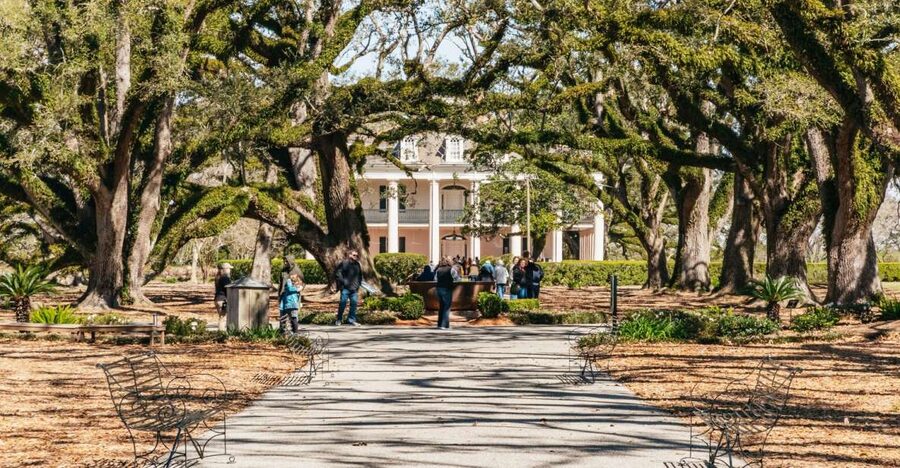 New Orleans: Oak Alley Plantation & Airboat Swamp Combo Tour - Barataria Basin airboat: open-boat speed and a wildlife search with real captains