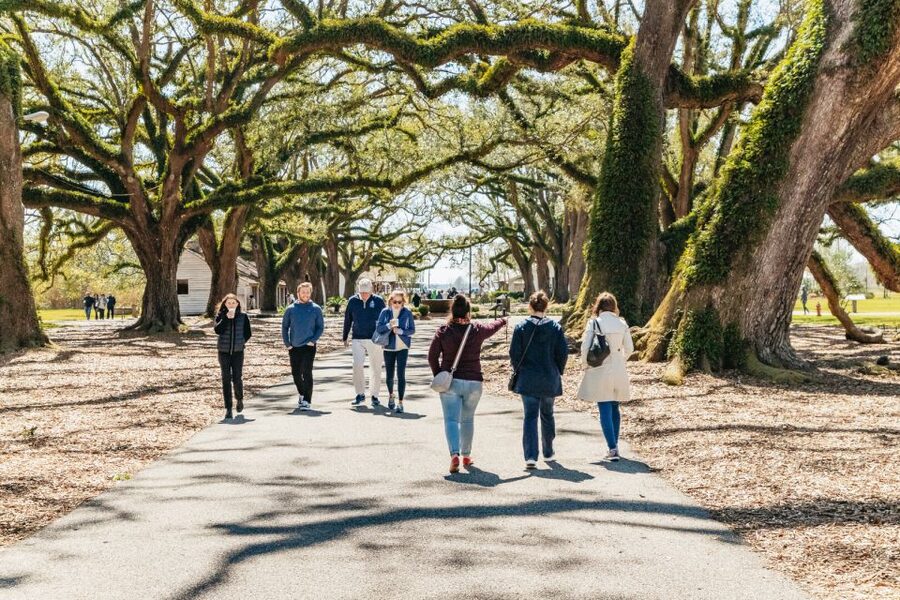 New Orleans: Oak Alley Plantation & Airboat Swamp Combo Tour - How the airboat changes in winter: spotting alligators even when they hibernate