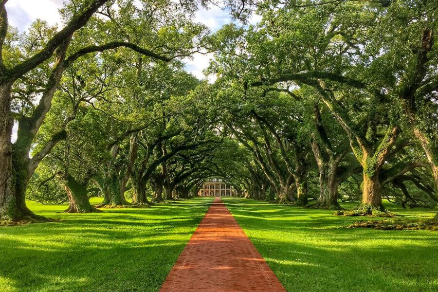 New Orleans: Oak Alley Plantation Tour with Transportation - Key things that make this tour worth your time
