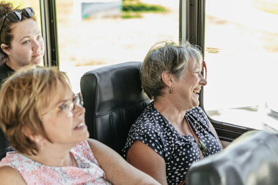 New Orleans: Sightseeing Bus Tour - Marigny and Tremé: street-level New Orleans, with real cultural signals