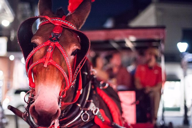 New Orleans Small-Group Haunted History Carriage Tour - Why this haunted carriage ride feels right for the French Quarter