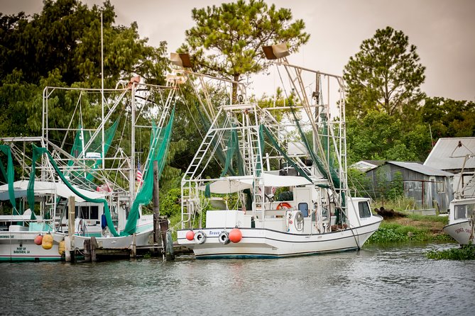 New Orleans Swamp and Bayou Alligator Tour - Is It Worth $35? Here’s the Value Math