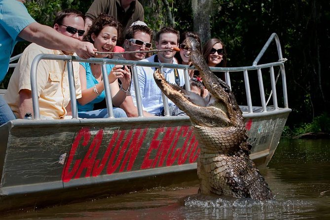 New Orleans Swamp and Bayou Boat Tour with Transportation - Key things I’d highlight before you go