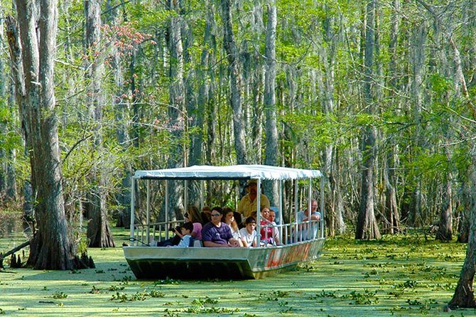 New Orleans Swamp and Bayou Boat Tour with Transportation - Price and value: what you get for about $70
