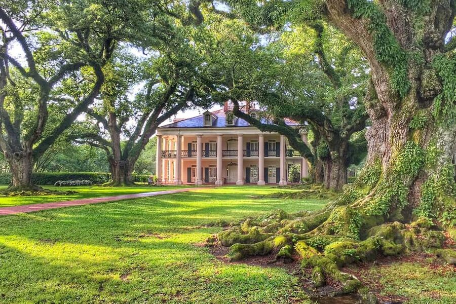New Orleans: Swamp Boat Ride & Oak Alley Plantation Tour - A Two-Stop Day That Saves You Time and Stress