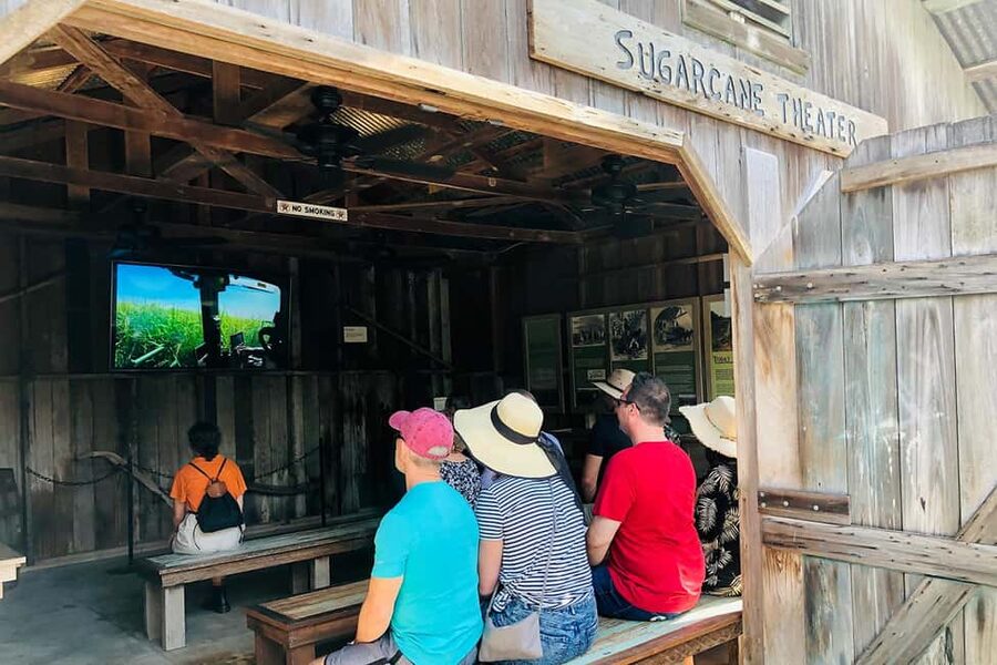 New Orleans: Swamp Boat Ride & Oak Alley Plantation Tour - Manchac Swamp Pontoon Ride: Local Cajun Stories and Real Wildlife Time