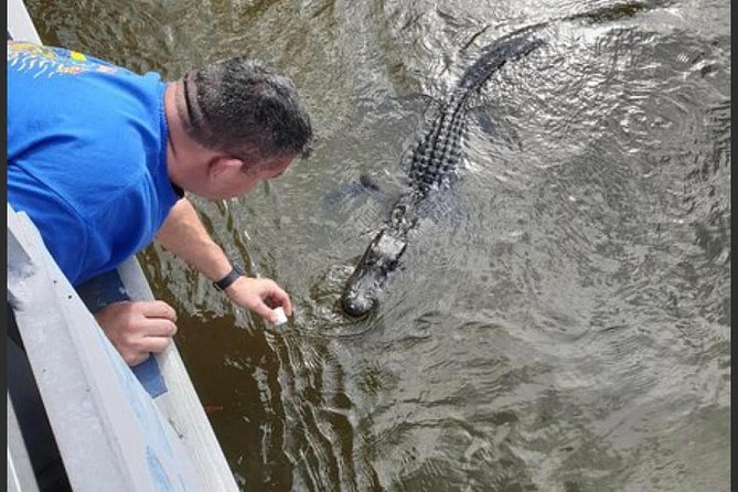 New Orleans Swamp Tour Boat Adventure - Price and value: is $35 worth your time?
