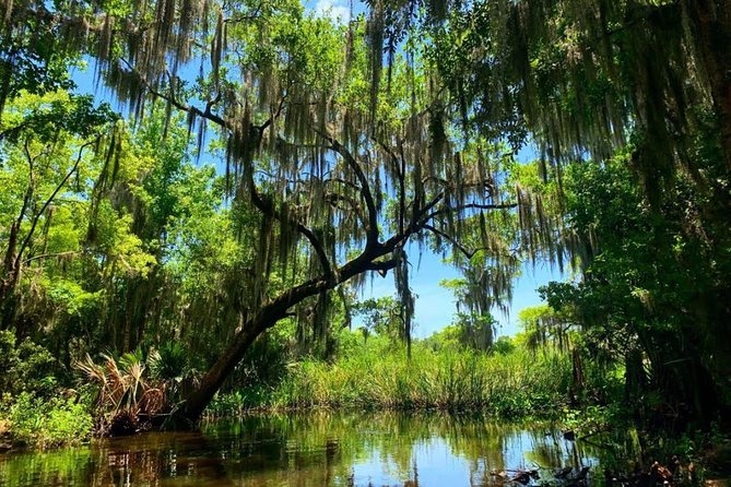 New Orleans Swamp Tour Boat Adventure with Transportation - The boat ride setup: roofed comfort, restroom on board, and less fuss