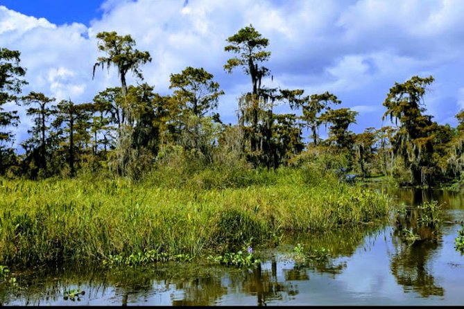 New Orleans Swamp Tour Boat Adventure with Transportation - The cruise route: burial mound stories, Cajun cemetery mood, and the old fishing village