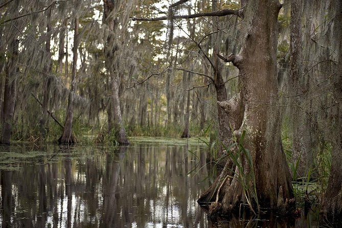 New Orleans Swamp Tour Boat Adventure - The 1 hour 40 minutes on the water, step by step