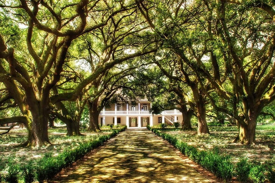 New Orleans: Whitney Plantation Tour with Transportation - Whitney Plantation Audio Tour, How the Self-Paced Experience Actually Works