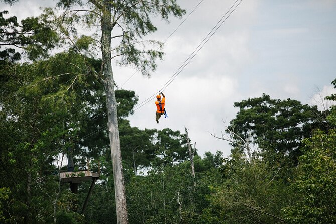 New Orleans Zipline Swamp Tour - Key things to know before you clip in