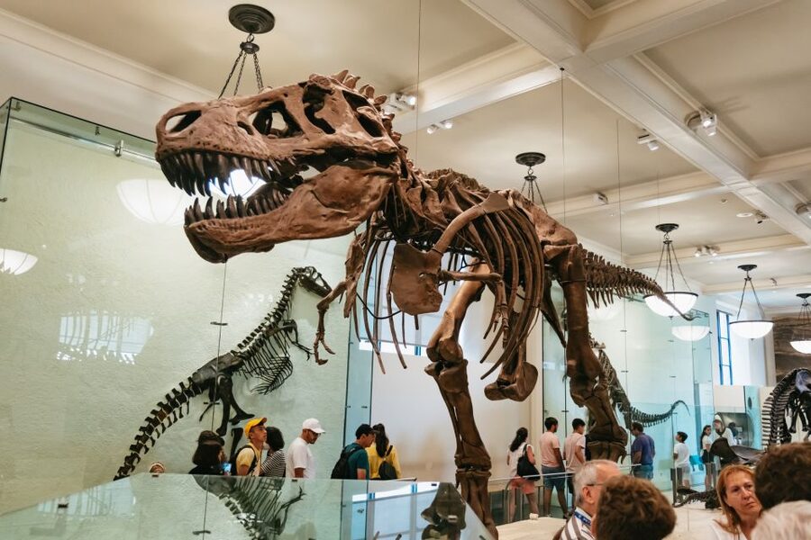 New York City: American Museum of Natural History Ticket - Before you go: bags, lockers, WiFi, and the Explorer App