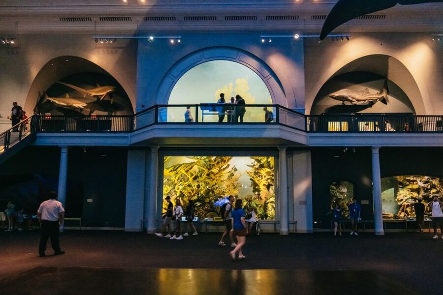 New York City: American Museum of Natural History Ticket - Rose Center for Earth and Space: the “science curiosity” anchor