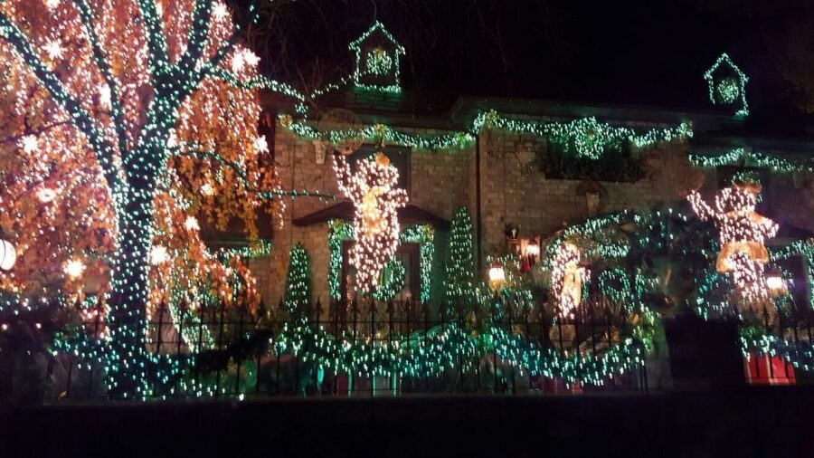 New York City: Dyker Heights Christmas Lights Tour - Who This Tour Fits Best, and Who Might Want a Different Plan