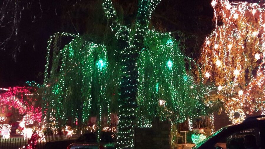 New York City: Dyker Heights Christmas Lights Tour - Why Dyker Heights Christmas Lights Feel Different Than Most NYC Holiday Stops