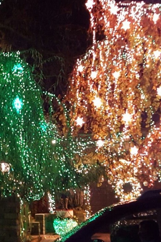 New York City: Dyker Heights Christmas Lights Tour - Dyker Heights: The Guided Walk That Turns Lights Into a Story