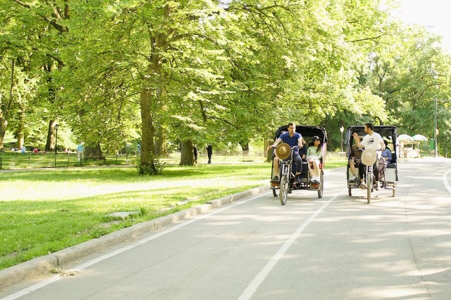 New York City: Private Central Park Pedicab Tour - The Mall, Cherry Hill, and Bow Bridge: where the park feels theatrical