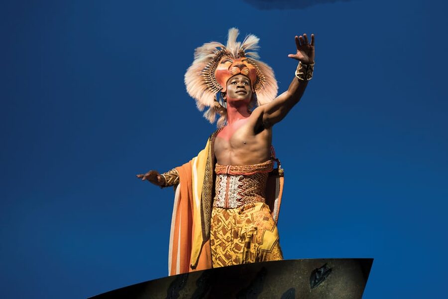 New York City: The Lion King Broadway Entry Tickets - Who This Show Fits Best (and Who Might Rethink It)
