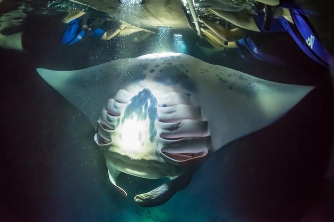 Night Manta Ray Experience - The 90 minute flow: Sea Quest check in to hot chocolate after