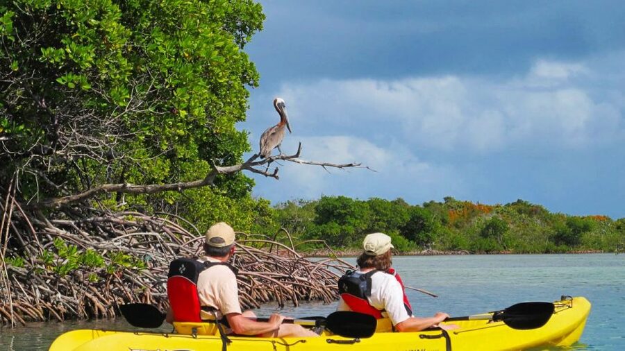 North Miami: Nature & Island Exploration on SUP/Kayak - Key Things to Know Before You Go