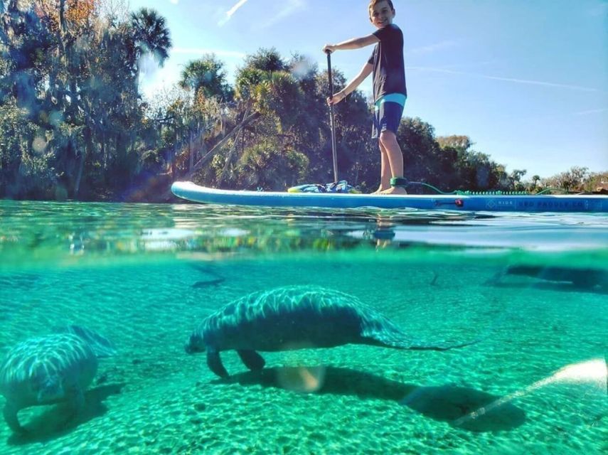 North Miami: Nature & Island Exploration on SUP/Kayak - Why the Osprey Triangle Mangroves Feel Like a Mini Escape