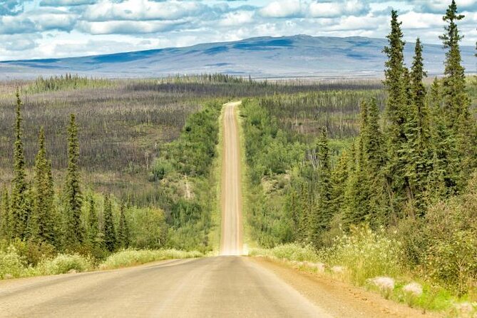 Northern Lights & Arctic Circle Tour - Key highlights I think matter most