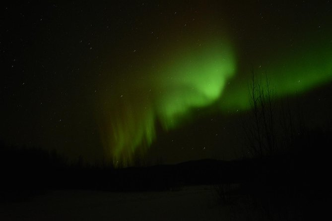 Northern Lights & Arctic Circle Tour - Why This Arctic Circle Drive Feels Like Another Planet