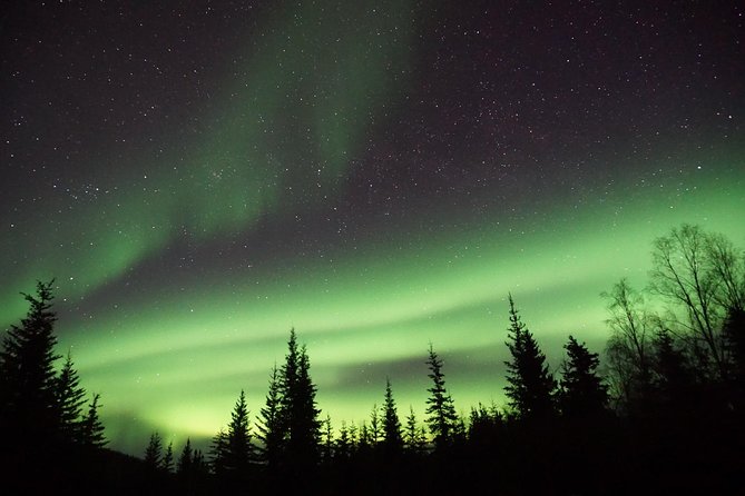 Northern Lights & Arctic Circle Tour - Northern Lights Chasing: You Go for It, Not for a Promise