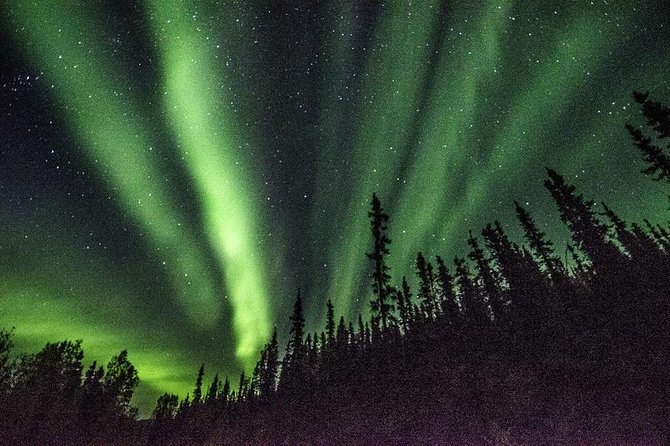 Northern Lights & Arctic Circle Tour - Price and Value: What $330 Buys You Up North