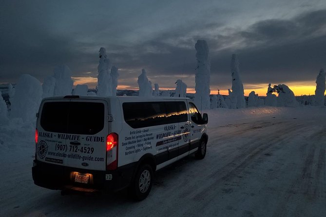 Northern Lights & Arctic Circle Tour - Who Should Book, and Who Might Skip This One