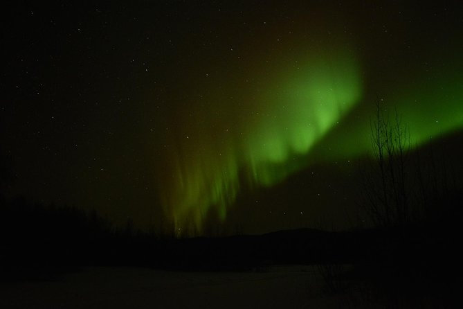 Northern Lights & Arctic Circle Tour - Should You Book the Northern Lights and Arctic Circle Tour?