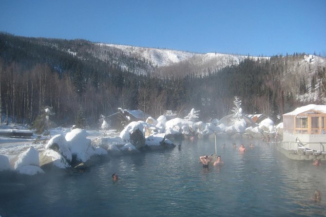 Northern Lights & Chena Hot Springs Tour - Chena Hot Springs, the 106-Degree Reset Button