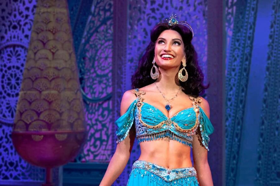 NYC: Aladdin the Musical on Broadway - Key highlights you will feel right away