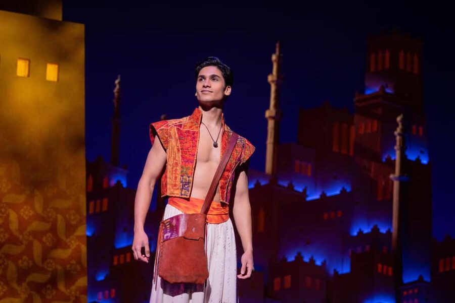 NYC: Aladdin the Musical on Broadway - New Amsterdam Theatre first steps: where you present your ticket