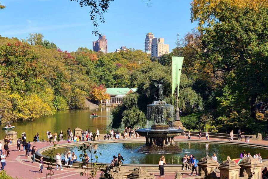 NYC: Central Park Bike Rentals - Picking the Right Bike Type and Booking the Right Amount of Time