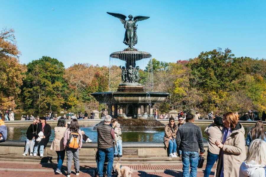 NYC: Central Park Guided Pedicab Tour - Key Highlights You Will Actually Feel During This Tour