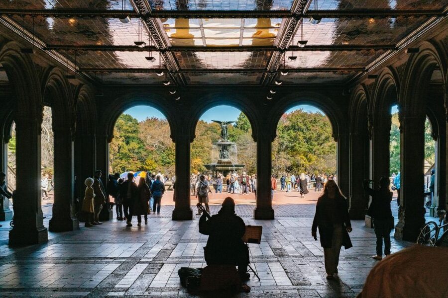 NYC: Central Park Guided Pedicab Tour - Should You Book This Central Park Guided Pedicab Tour?