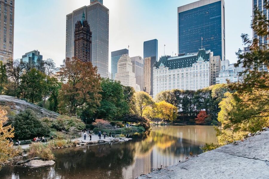 NYC: Central Park Guided Pedicab Tour - The Photographer Advantage: Fewer Headaches, Better Photos