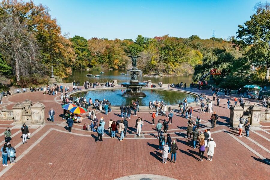 NYC: Central Park Guided Pedicab Tour - Who This Tour Fits Best