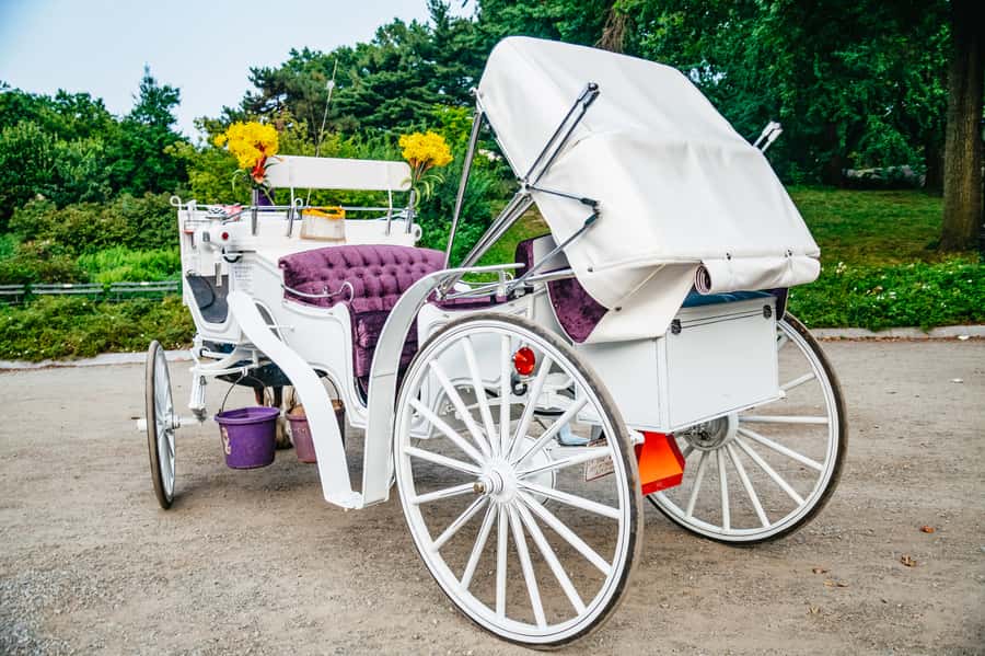 NYC: Guided Central Park Horse Carriage Ride - Timing Options: Morning, Afternoon, Evening, or Night