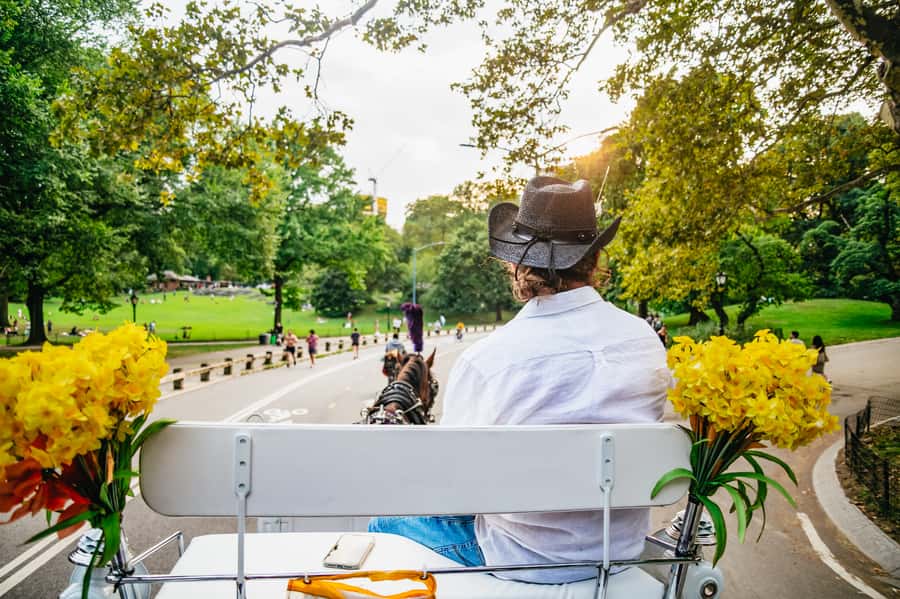 NYC: Guided Central Park Horse Carriage Ride - Price and Value: $155 Per Group Up to 4 (What That Means for You)