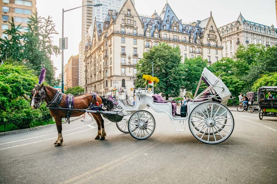 NYC: Guided Central Park Horse Carriage Ride - Where You Will Ride: The Central Park Sights You Actually See