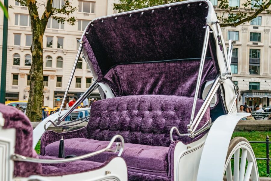 NYC: Guided Central Park Horse Carriage Ride - Photo Stops at Bethesda Fountain and Cherry Hill: Why This Part Matters