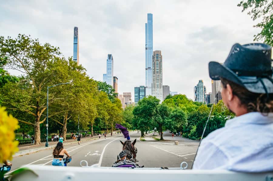 NYC: Guided Central Park Horse Carriage Ride - Winter Blankets and Horse Treats: Small Details That Make It Feel Personal
