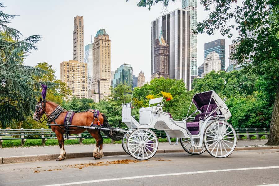 NYC: Guided Central Park Horse Carriage Ride - Duration and Pace: How 40 to 55 Minutes Feels in Real Life
