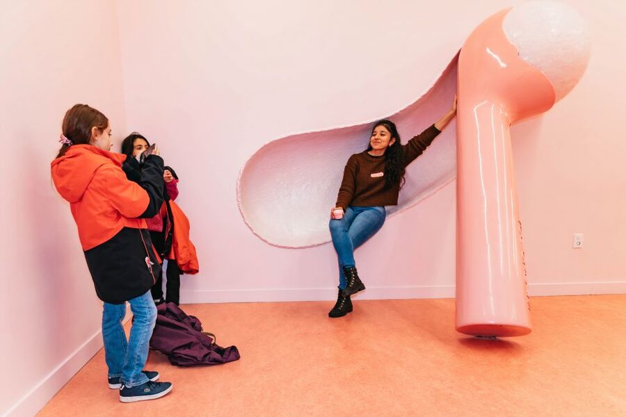 NYC: Museum of Ice Cream Entry Ticket - History facts, but keep it fun